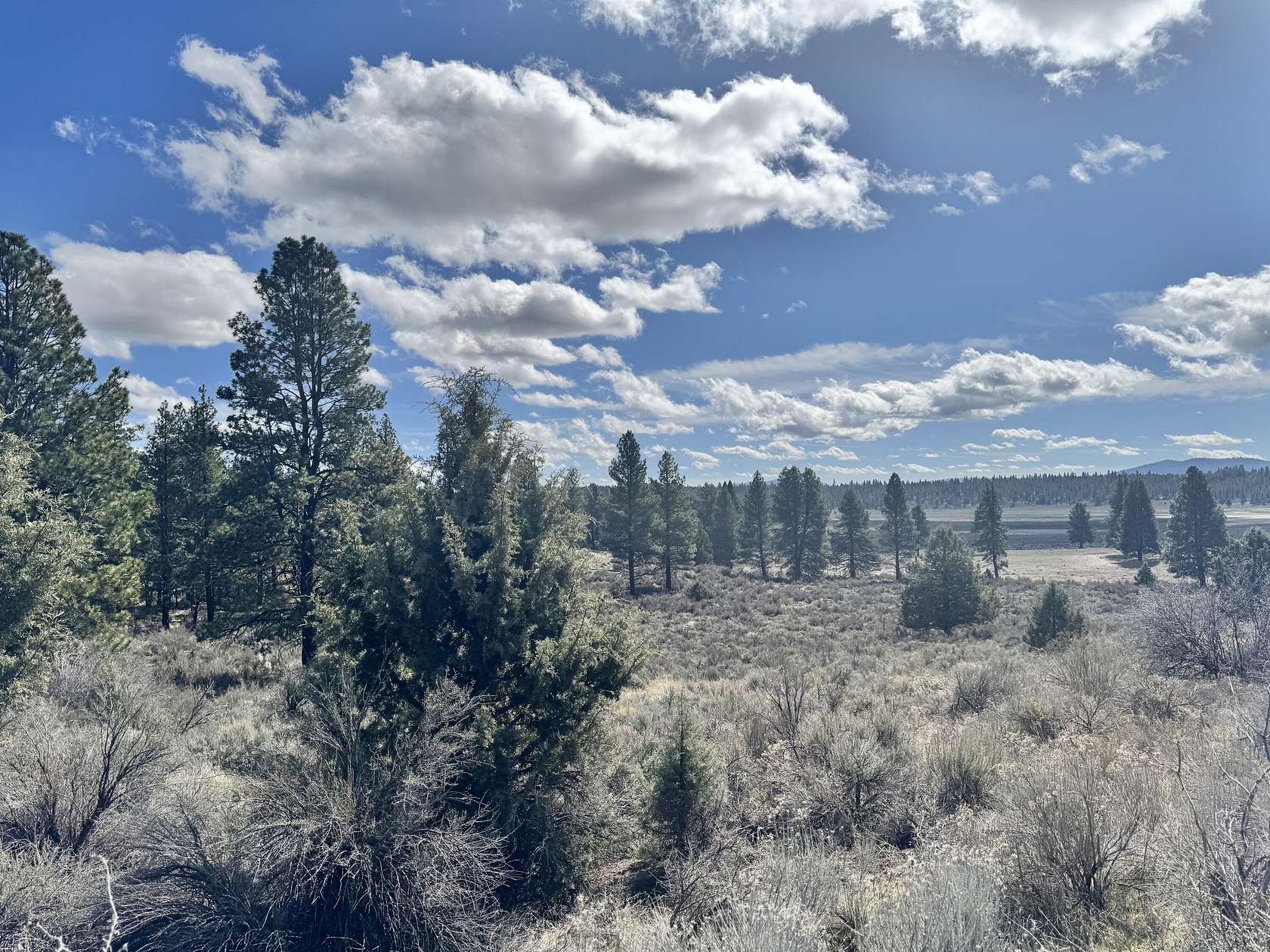 2.42 Acres of Residential Land for Sale in Chiloquin, Oregon
