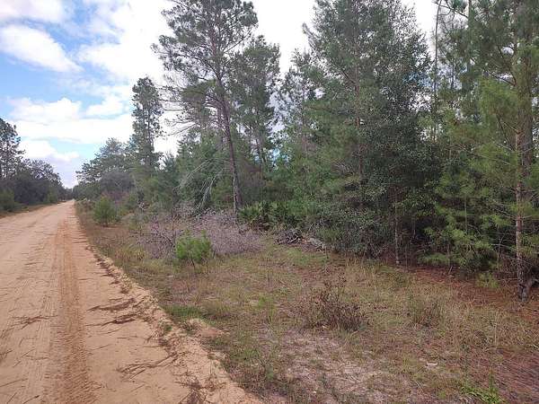 0.22 Acres of Residential Land for Sale in Interlachen, Florida