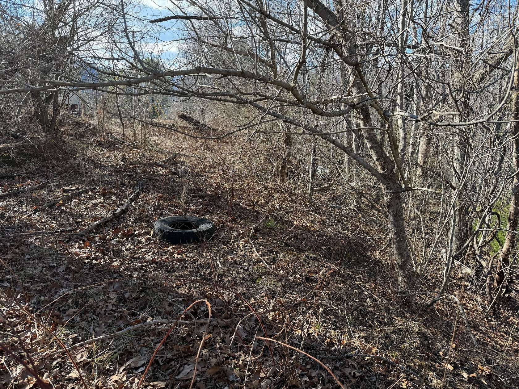 14 Acres of Recreational & Residential Land for Sale in Blacksburg, Virginia