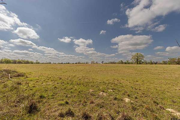 40 Acres of Land for Sale in Winona, Texas