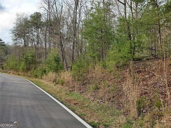 1 Acre of Land for Sale in Jasper, Georgia