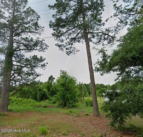 0.39 Acres of Residential Land for Sale in Wagram, North Carolina