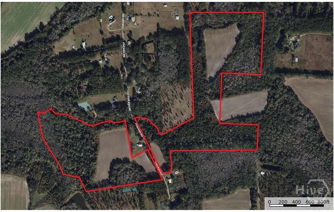 68.6 Acres of Land for Sale in Hahira, Georgia