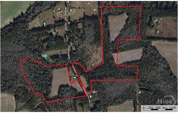 68.6 Acres of Land for Sale in Hahira, Georgia