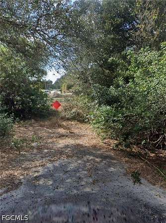 0.25 Acres of Residential Land for Auction in Lehigh Acres, Florida