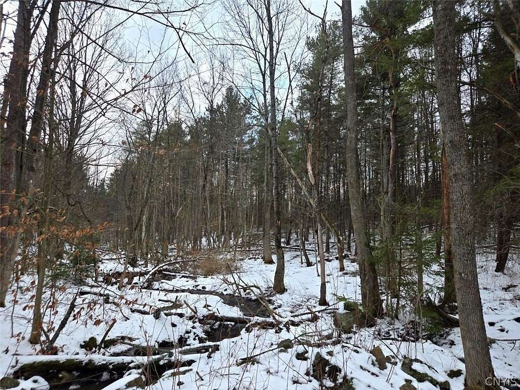 9.64 Acres of Land for Sale in Warsaw, New York