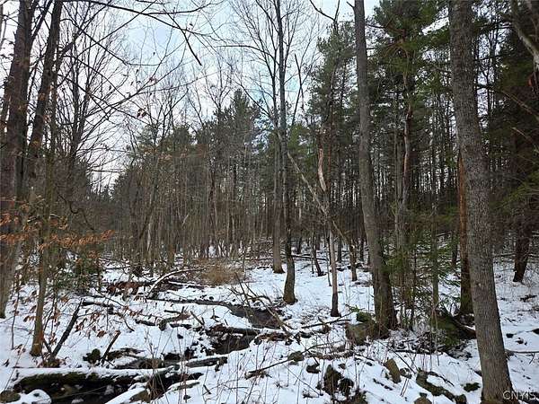 9.64 Acres of Land for Sale in Warsaw, New York