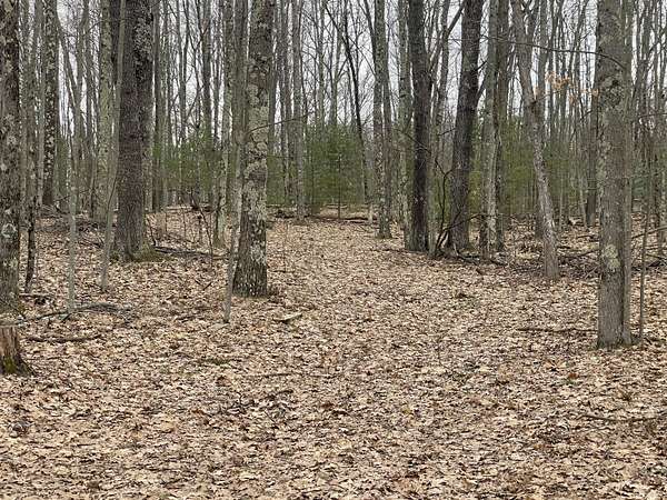 1.5 Acres of Land for Sale in Irons, Michigan