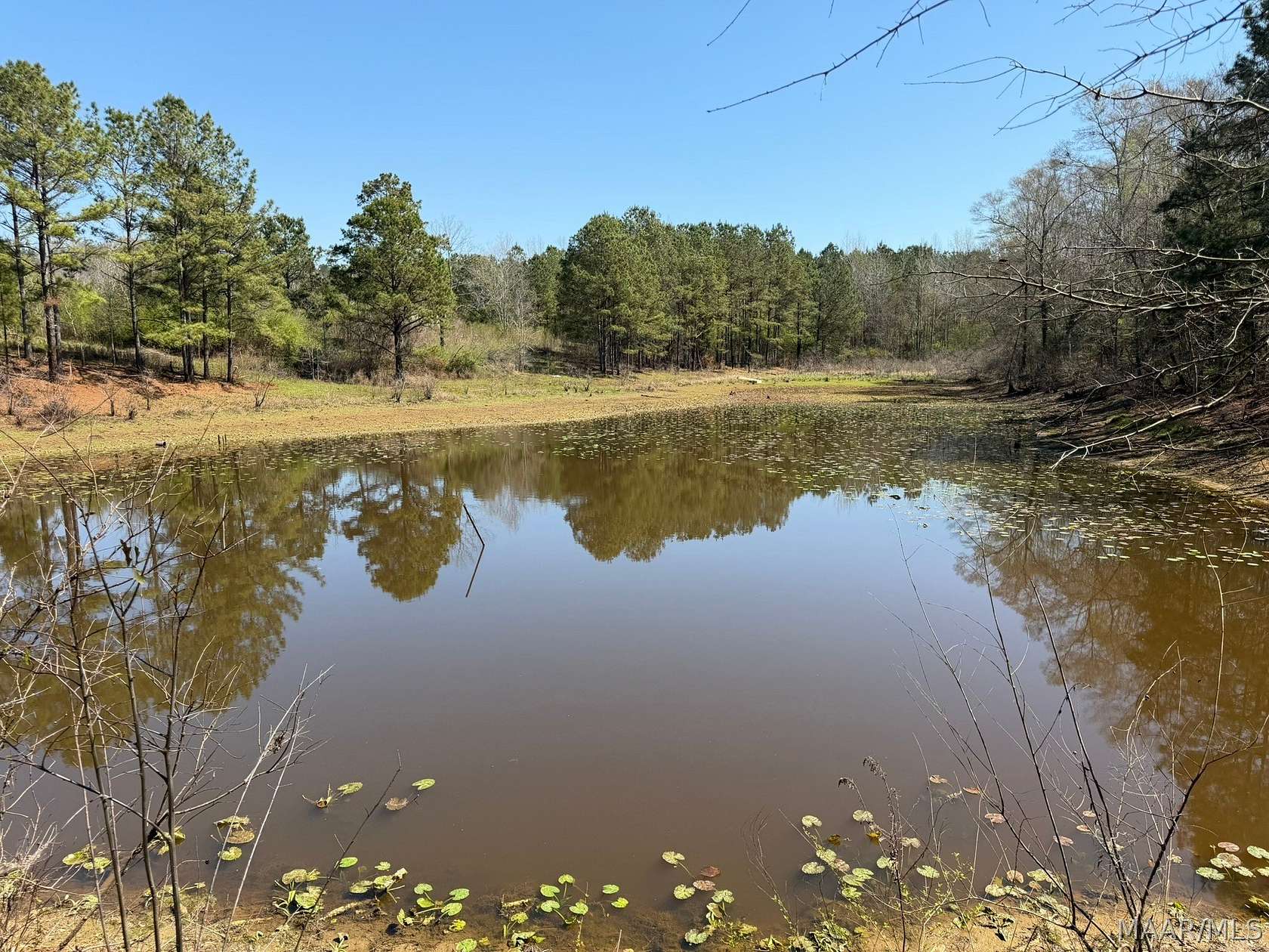 15 Acres of Recreational Land for Sale in Honoraville, Alabama