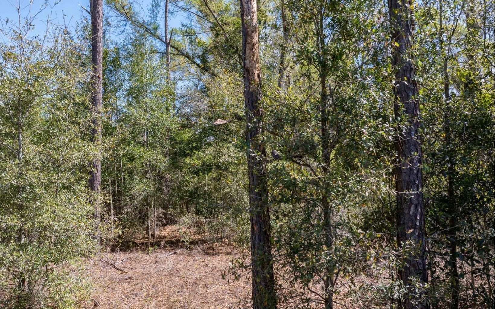 10.5 Acres of Land for Sale in Live Oak, Florida