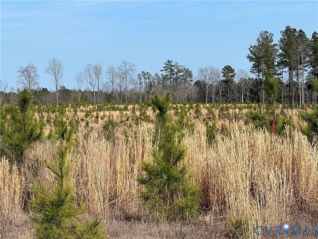 188 Acres of Recreational & Residential Land for Sale in Wilsons, Virginia