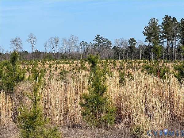 188 Acres of Recreational & Residential Land for Sale in Wilsons, Virginia