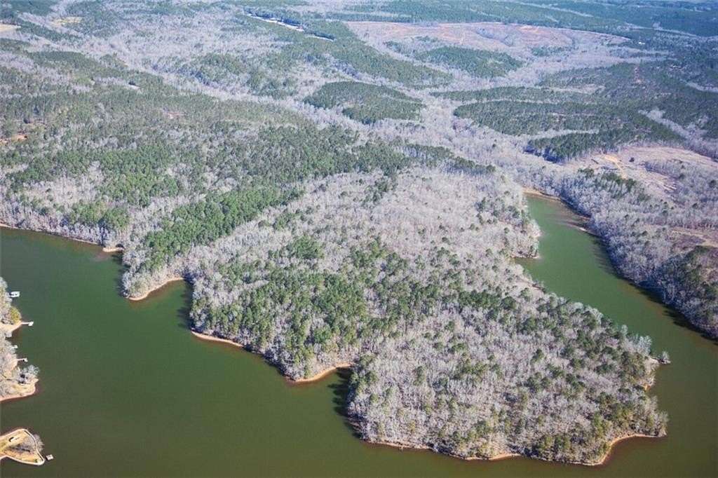 79 Acres of Land for Sale in Dadeville, Alabama
