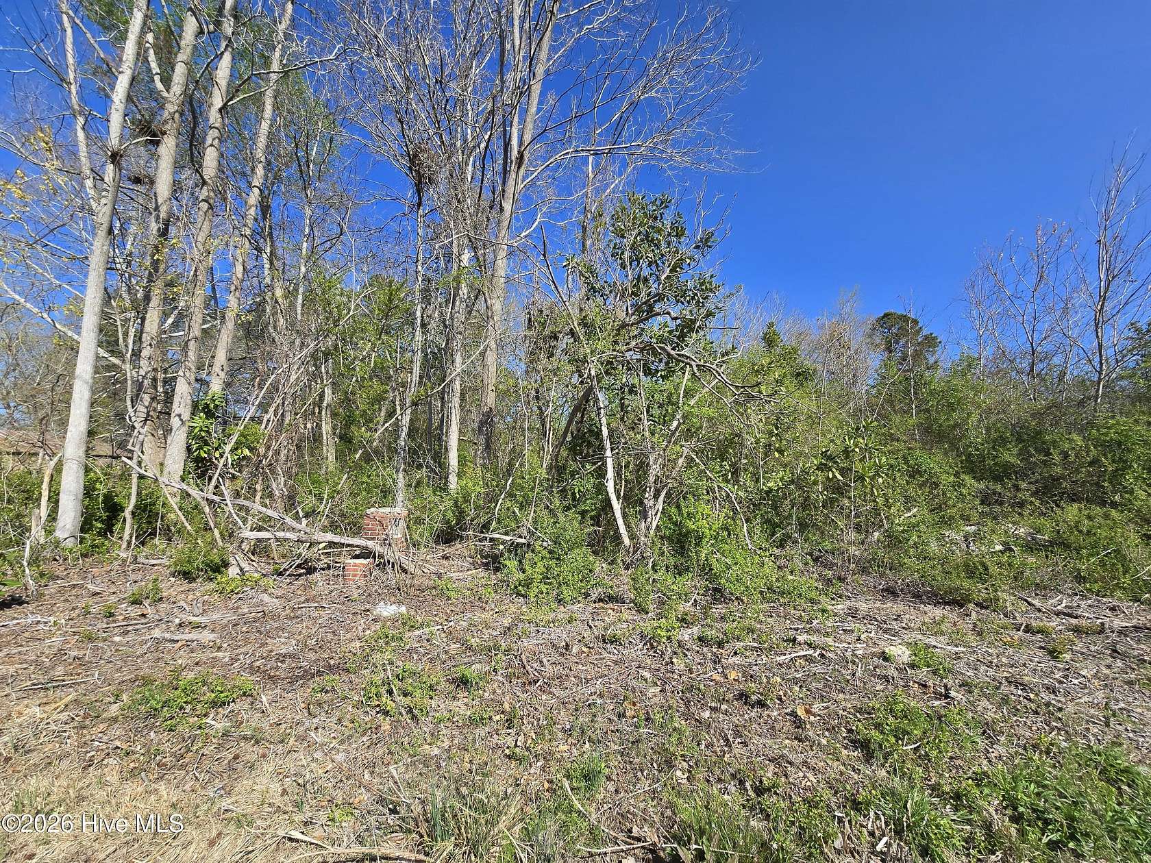 0.42 Acres of Residential Land for Sale in South Mills, North Carolina