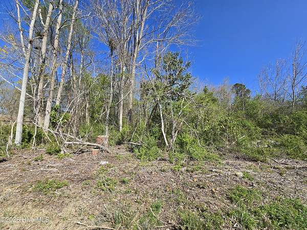 0.42 Acres of Residential Land for Sale in South Mills, North Carolina
