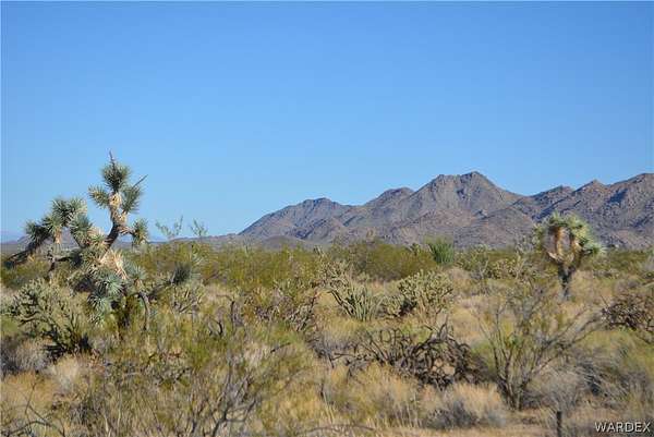 1 Acre of Residential Land for Sale in Yucca, Arizona