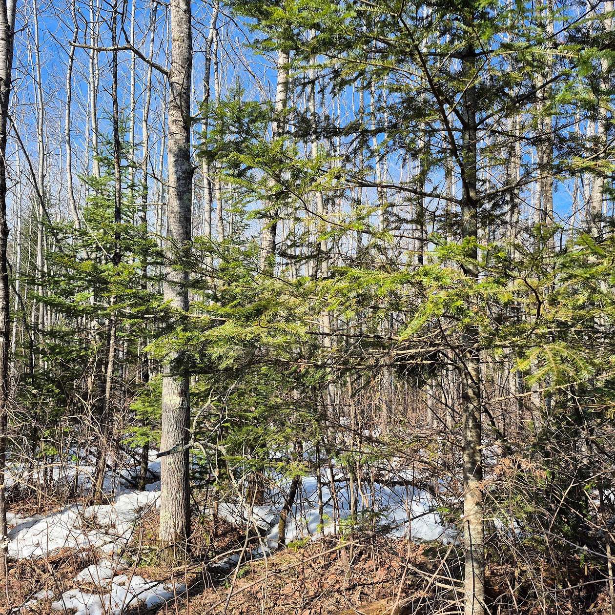 5 Acres of Residential Land for Sale in Hayward, Wisconsin