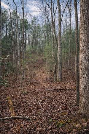 0.72 Acres of Residential Land for Sale in Ellijay, Georgia