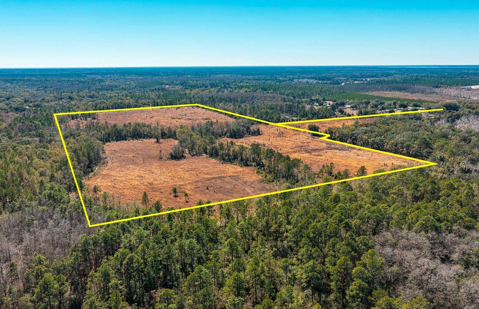 83 Acres of Land for Sale in Hawthorne, Florida