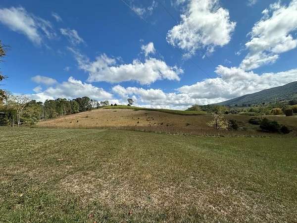 133 Acres of Land for Sale in Bland, Virginia