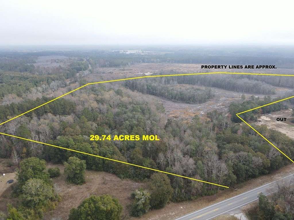 30 Acres of Recreational & Residential Land for Sale in Samson, Alabama