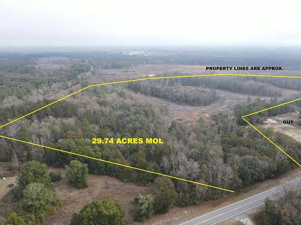 30 Acres of Recreational & Residential Land for Sale in Samson, Alabama