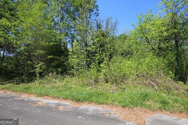 0.26 Acres of Land for Sale in Rome, Georgia