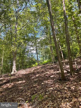 10.3 Acres of Land for Sale in King George, Virginia