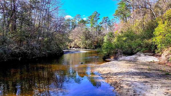 4.69 Acres of Residential Land for Auction in Robertsdale, Alabama