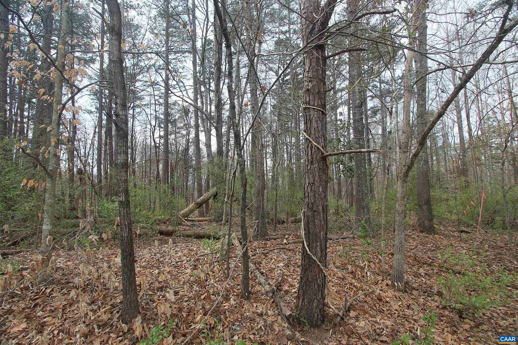 1.7 Acres of Residential Land for Sale in Charlottesville, Virginia