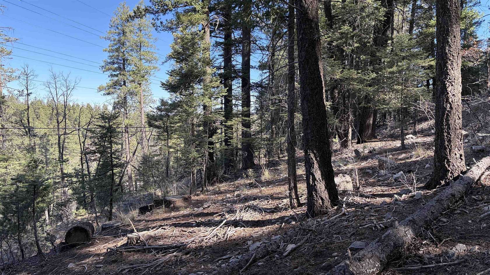 0.51 Acres of Residential Land for Sale in Cloudcroft, New Mexico