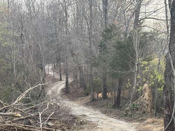 11 Acres of Land for Sale in Scottsville, Kentucky