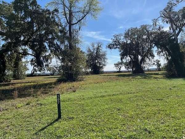 1 Acre of Residential Land for Sale in Townsend, Georgia