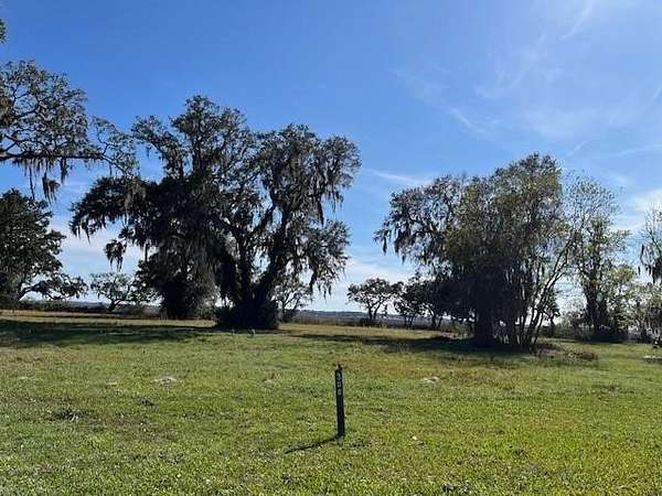 0.95 Acres of Residential Land for Sale in Townsend, Georgia