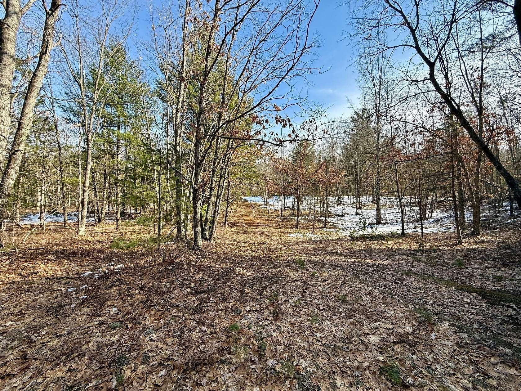 22.8 Acres of Recreational & Residential Land for Sale in Baldwin, Michigan