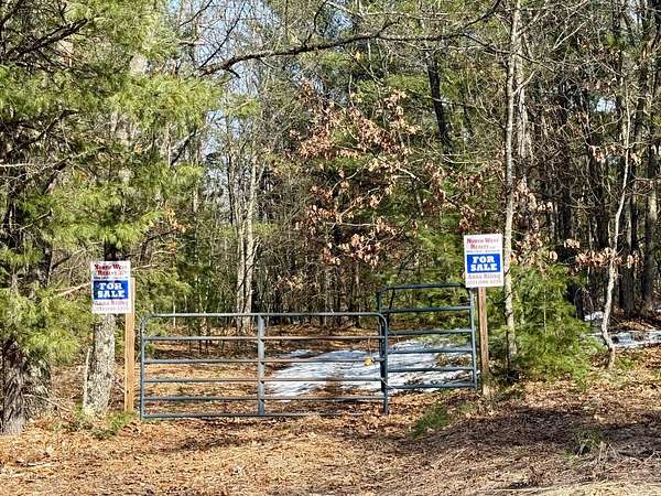 22.8 Acres of Recreational & Residential Land for Sale in Baldwin, Michigan