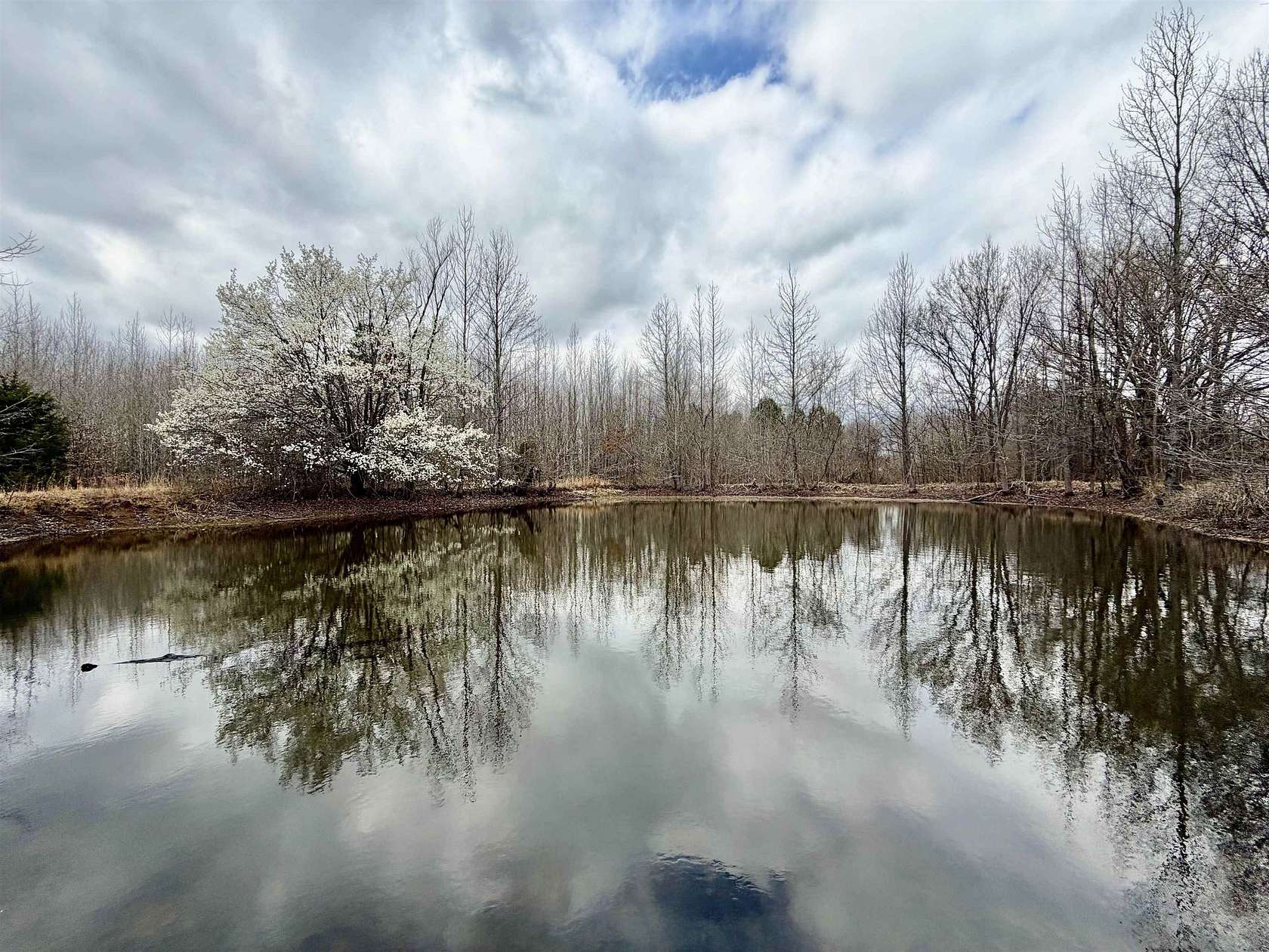 13 Acres of Land with Home for Sale in Millington, Tennessee