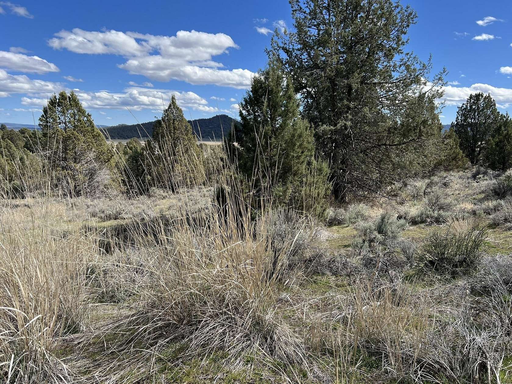 4.55 Acres of Residential Land for Sale in Sprague River, Oregon
