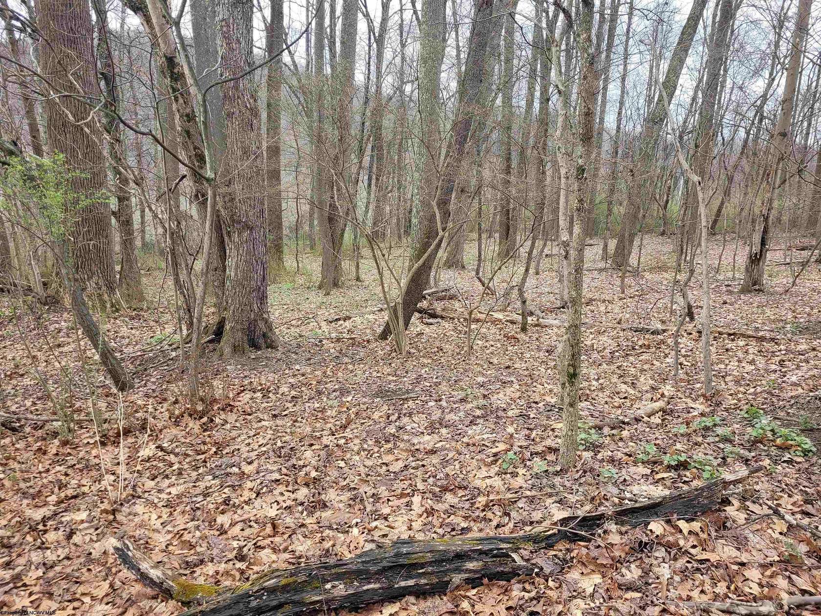 1 Acre of Residential Land for Sale in Clarksburg, West Virginia