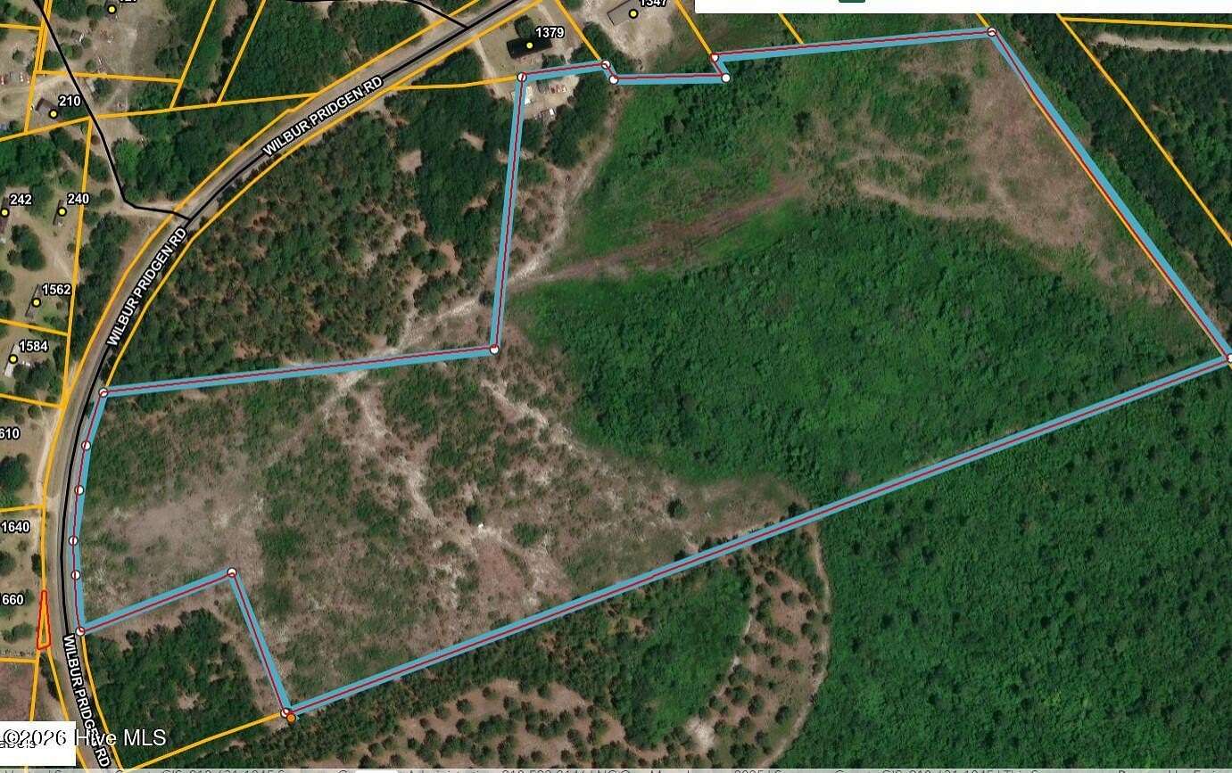 46.2 Acres of Land for Sale in Harrells, North Carolina