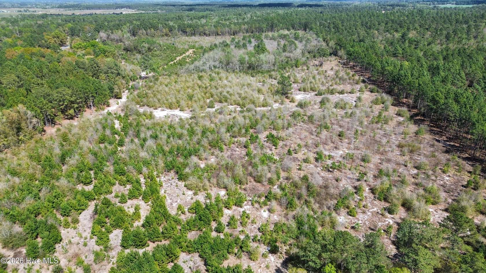 46.2 Acres of Land for Sale in Harrells, North Carolina