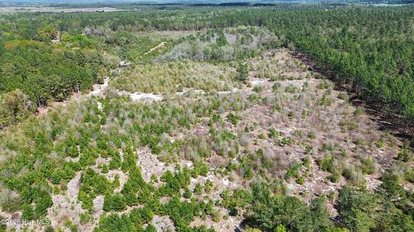 46.2 Acres of Land for Sale in Harrells, North Carolina