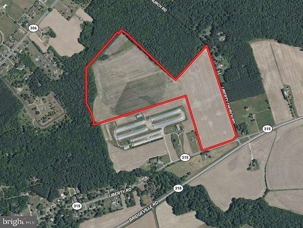 92.9 Acres of Agricultural Land for Sale in Federalsburg, Maryland