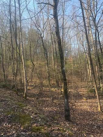 Residential Land for Sale in Murphy, North Carolina