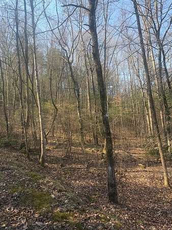 1.77 Acres of Residential Land for Sale in Murphy, North Carolina