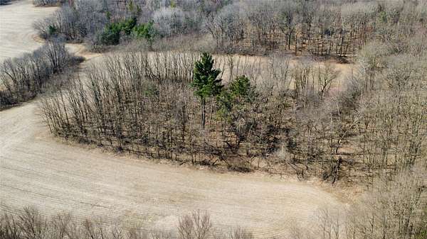 10 Acres of Land for Sale in Black River Falls, Wisconsin