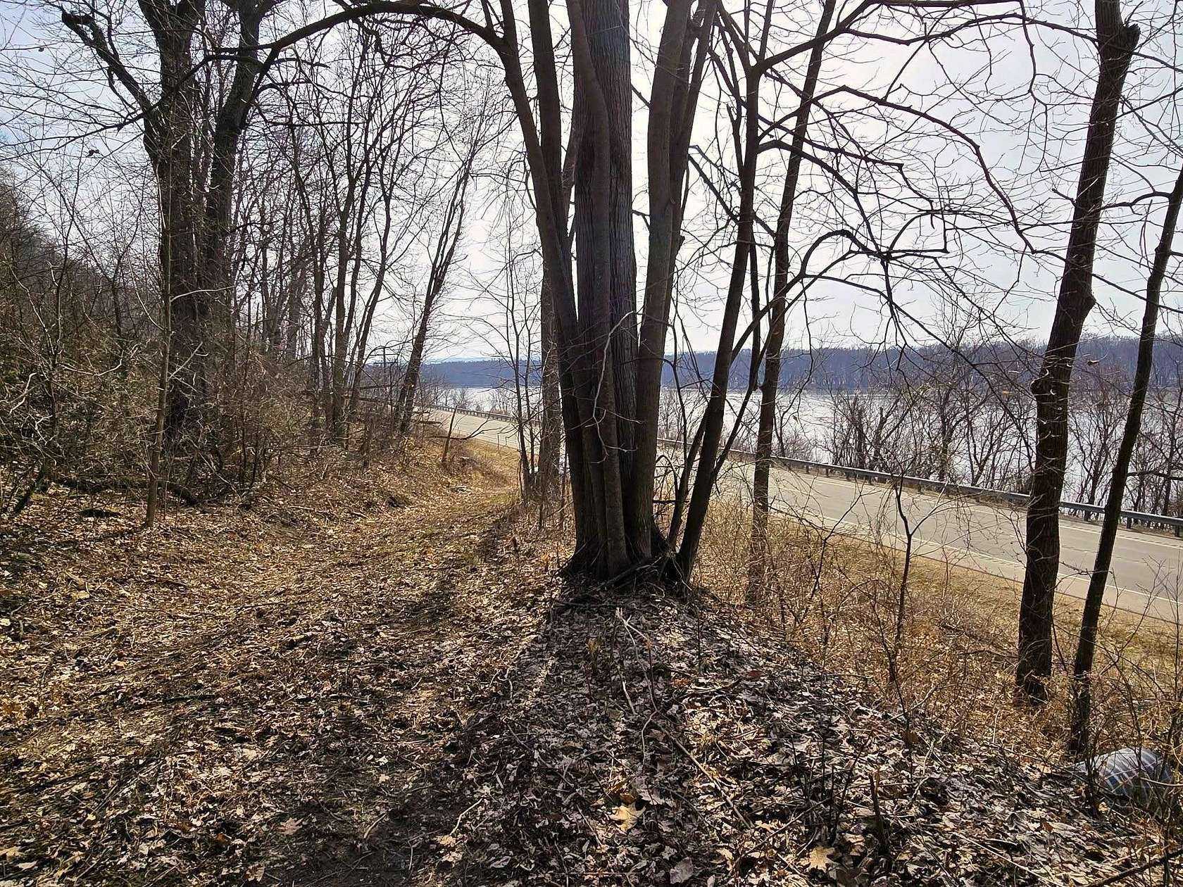 4.1 Acres of Land for Sale in De Soto, Wisconsin
