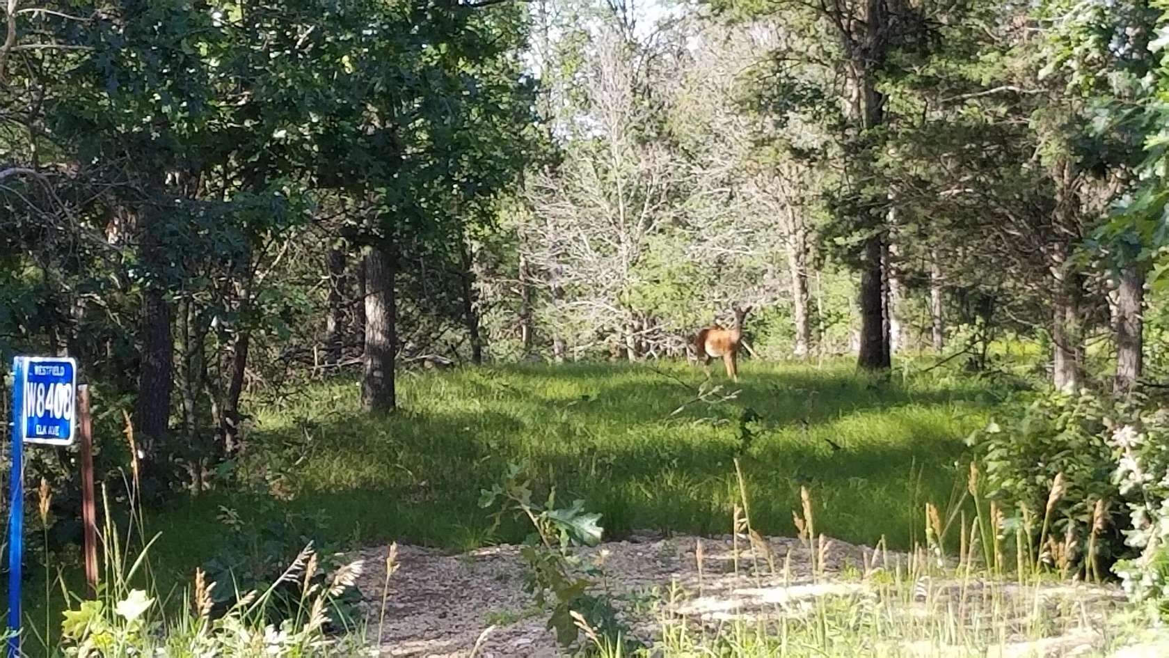 5 Acres of Land for Sale in Oxford, Wisconsin