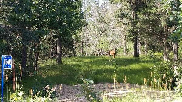 5 Acres of Land for Sale in Oxford, Wisconsin