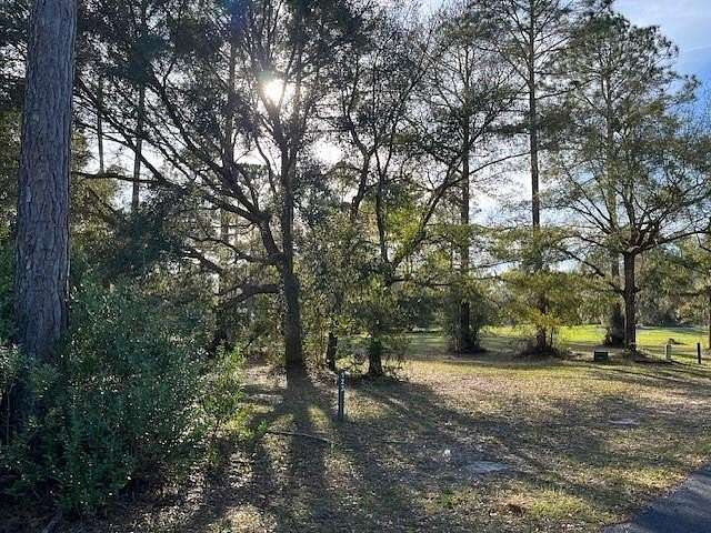 0.46 Acres of Residential Land for Sale in Townsend, Georgia